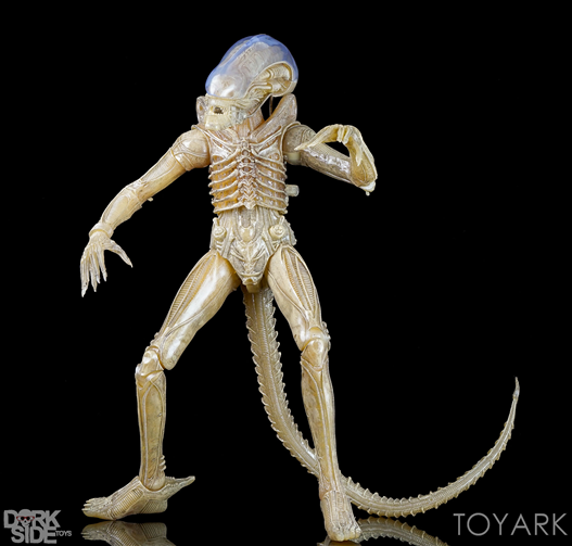 Mua bán NECA ALIEN XENOMORPH TRANSLUCENT PROTOTYPE CHINA VER